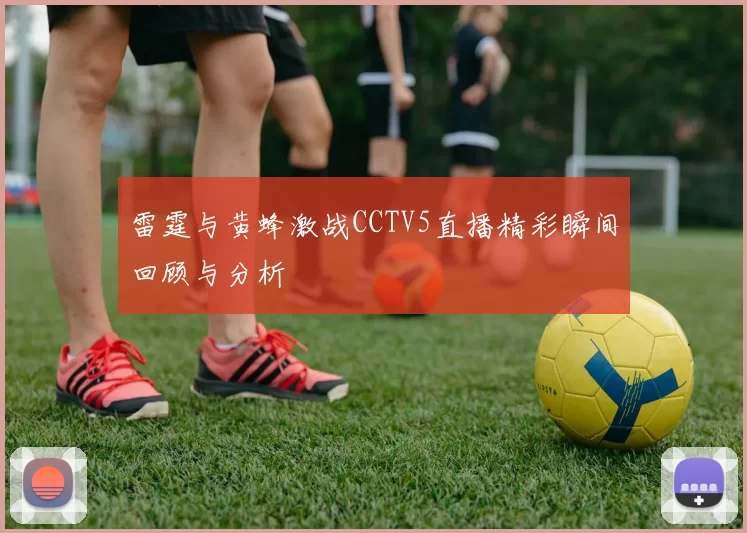 雷霆与黄蜂激战CCTV5直播精彩瞬间回顾与分析
