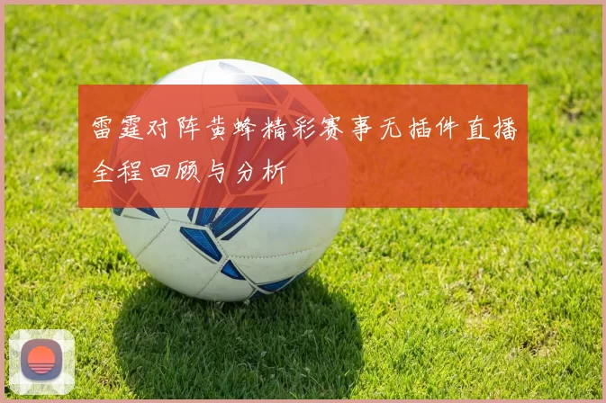 雷霆对阵黄蜂精彩赛事无插件直播全程回顾与分析